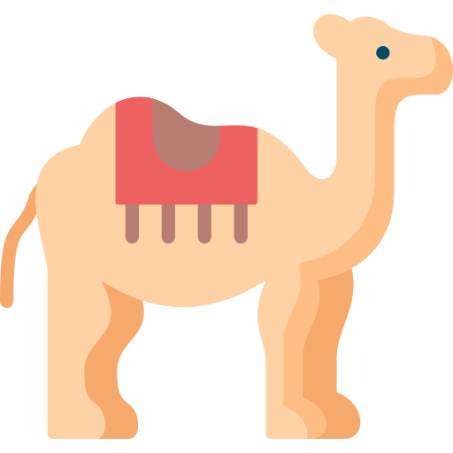 Camel