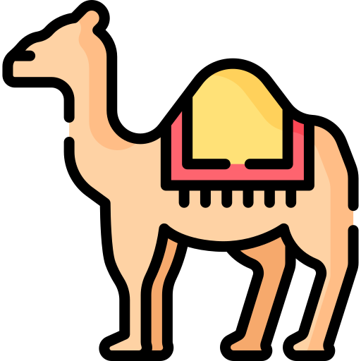 Camel special lineal color icon