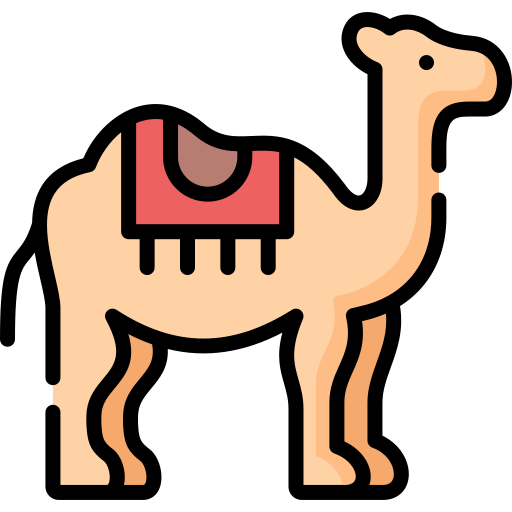 Camel