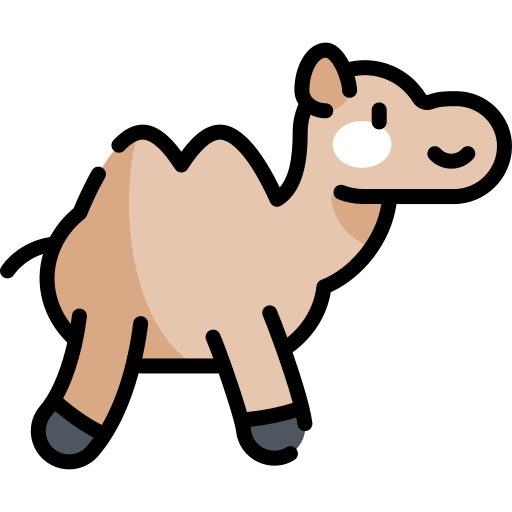 Camel