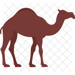 Gulf camel icon