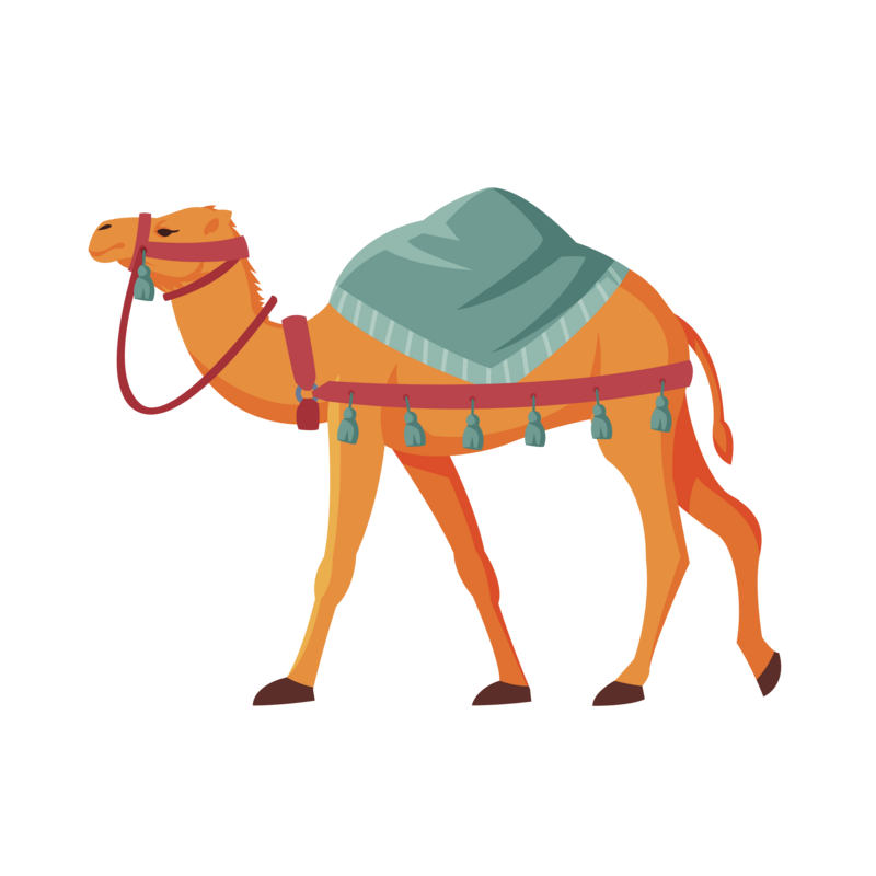 Camel animal used as transport in desert area png images psd free download