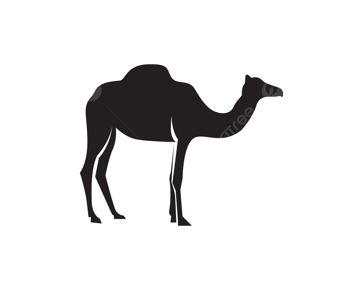 Camels clipart images free download png transparent background