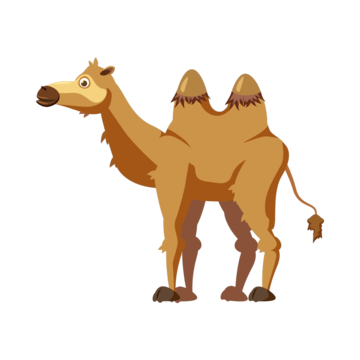 Camel animal vector art png images free download on