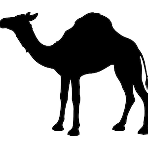 Buy camel clipart online in india