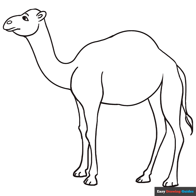 Free printable zoo animals coloring pages for kids