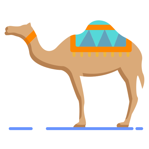 Camel