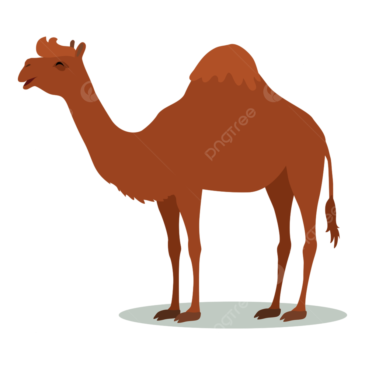 Camello dromedario png imãgen transparent