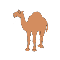 Vector de camello para descargar gratis