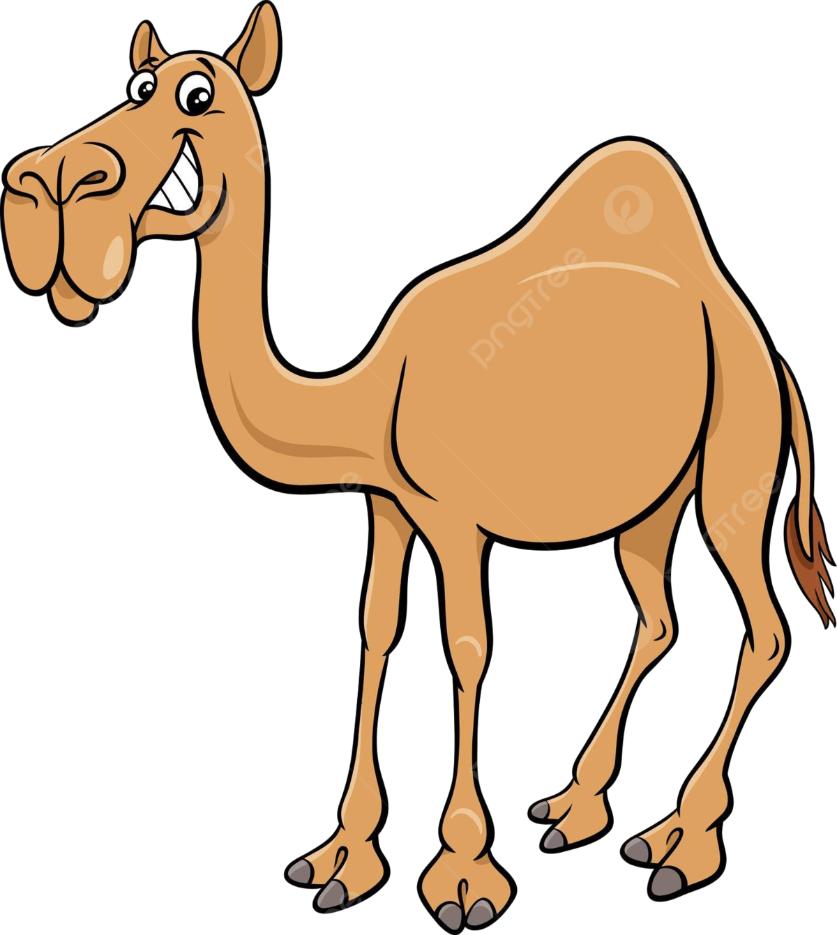 Dibujos animados de camellos png vector psd e clipart para dcarga gratuita