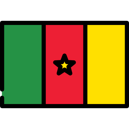 Cameroon flag of icon