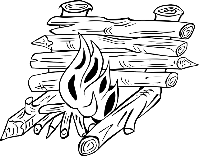 Free camp fire vector art