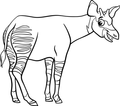 Okapi png imãgen transparent
