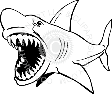 Mean shark clip art clipart panda