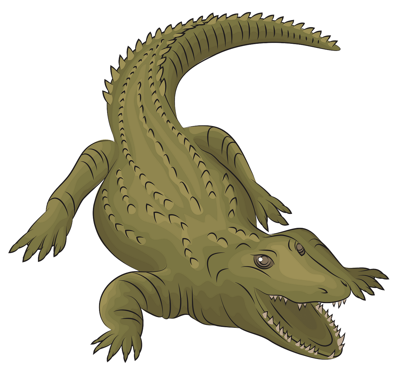 Free crocodile clipart download free crocodile clipart png images free cliparts on clipart library