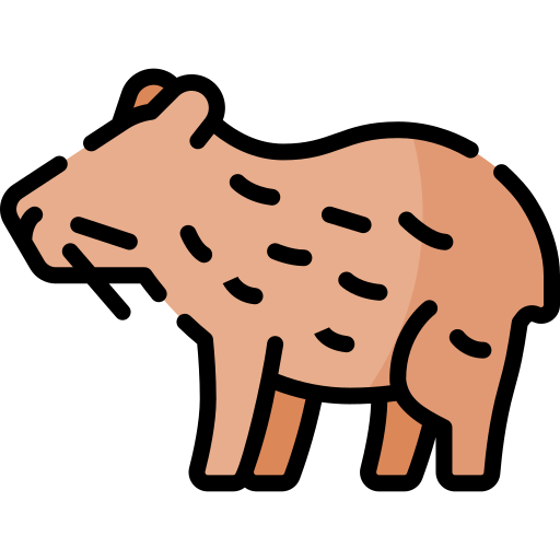 Capybara