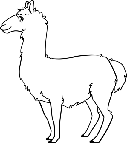 Cute llama coloring page free printable coloring pages