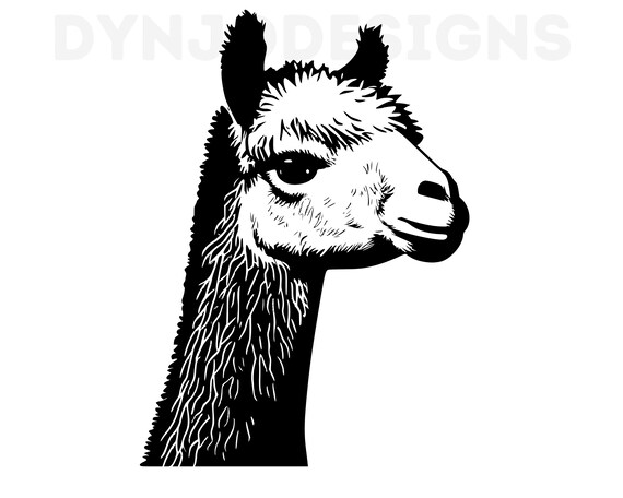 Alpaca head alpaca svg cut files for cricut laser engraving files