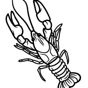 Crawfish coloring pages printable for free download