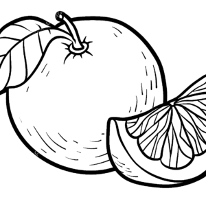 Grapefruit coloring pages printable for free download