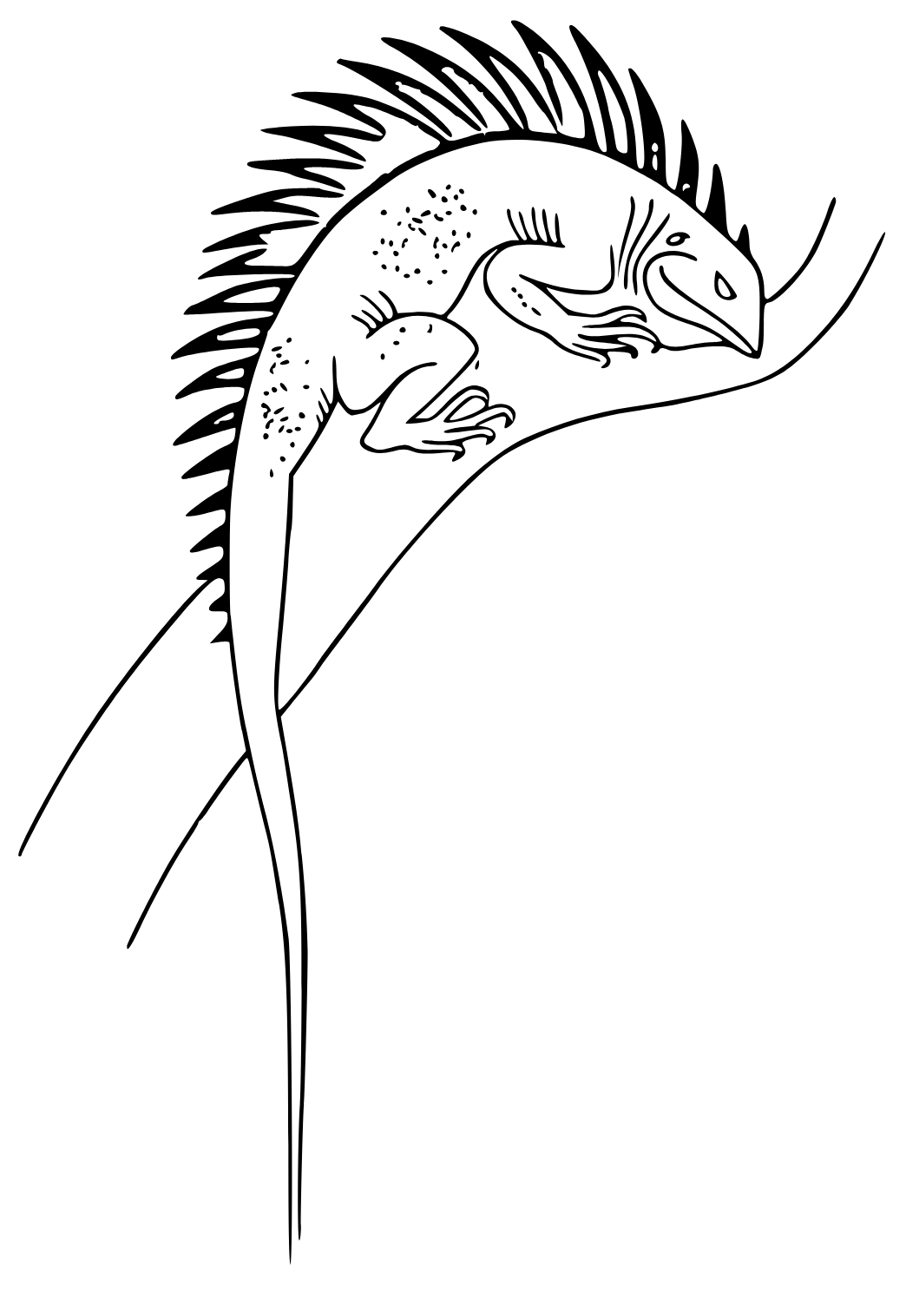Desenho e imagem lagarto espigãµes para colorir e imprimir grãtis para adultos e crianãas
