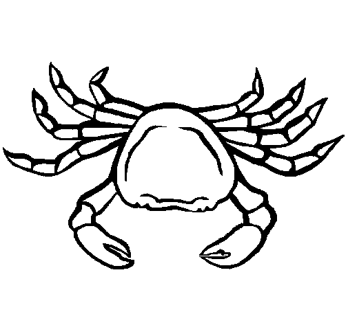 Desenhos de caranguejos para colorir
