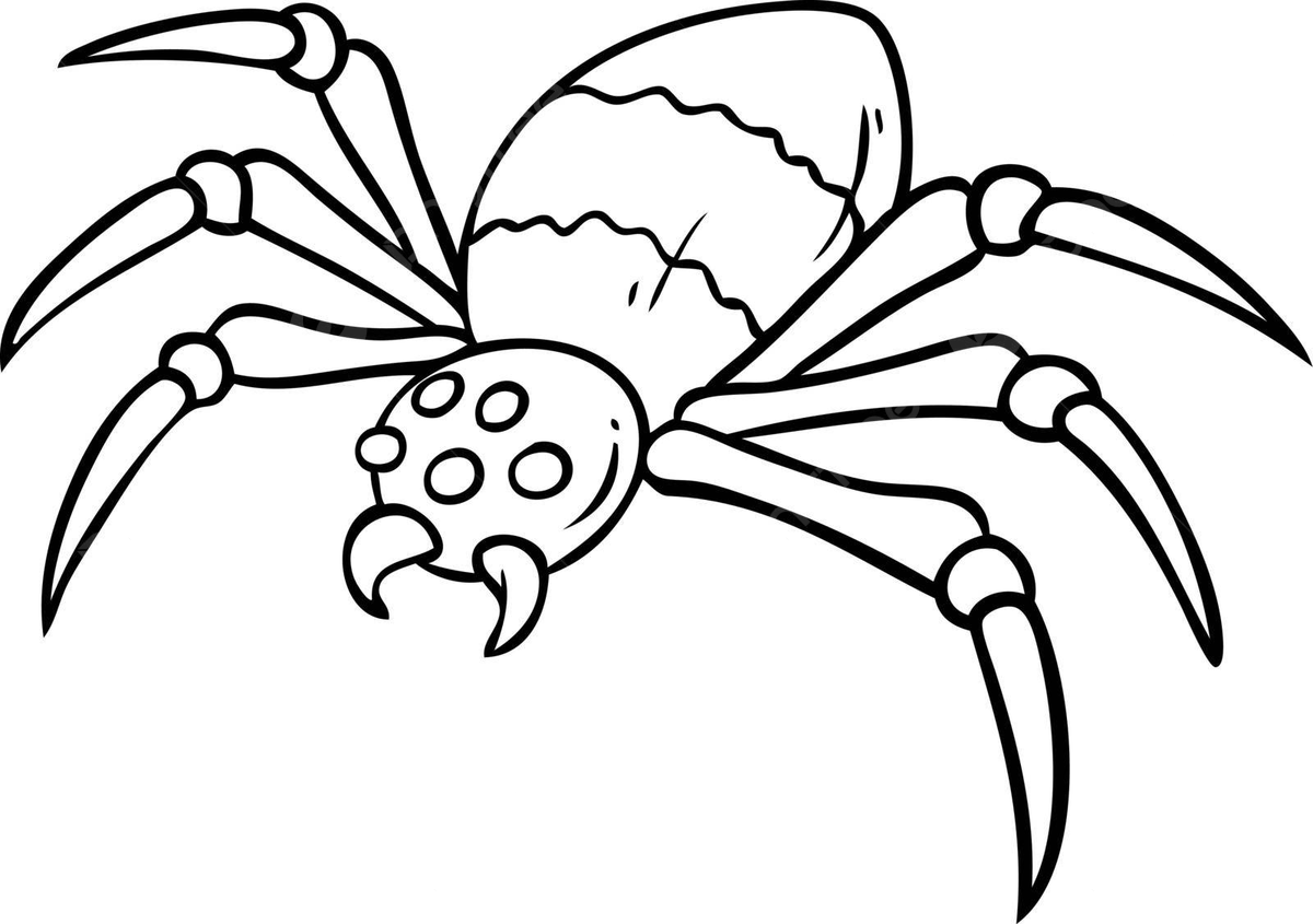Aranha brava grãfica dos desenhos animados horror peludo do perigo dos caninos vetor png peludo perigo horror imagem png e vetor para download gratuito