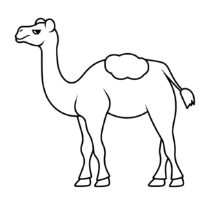 Desenhos de animais desenho para desenhar