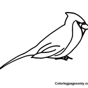 Cardinal coloring pages printable for free download