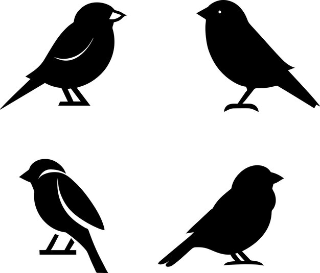 Page cardinals images