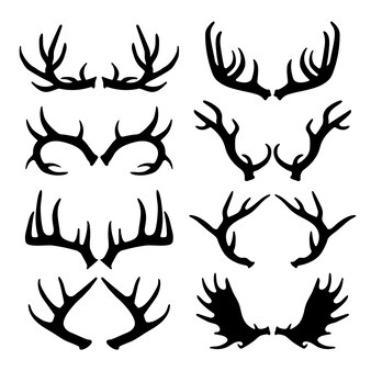 Page caribou sublimation images