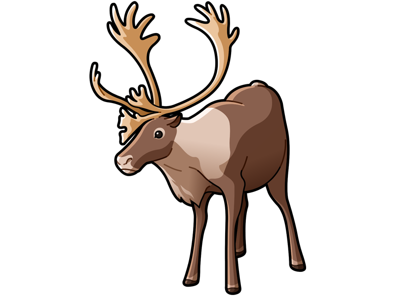 Southern mountain caribou by mathieu beaulieu on