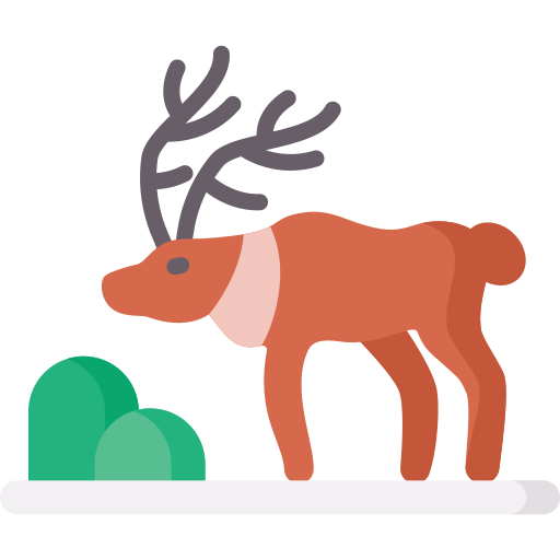 Caribou