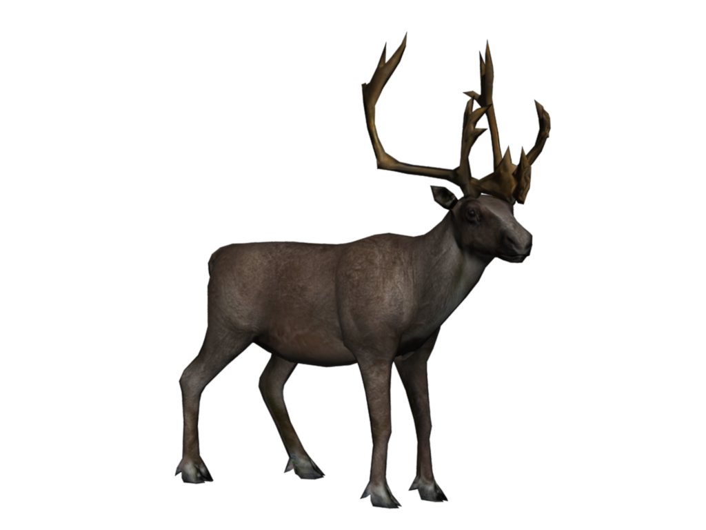 Animals â yeti