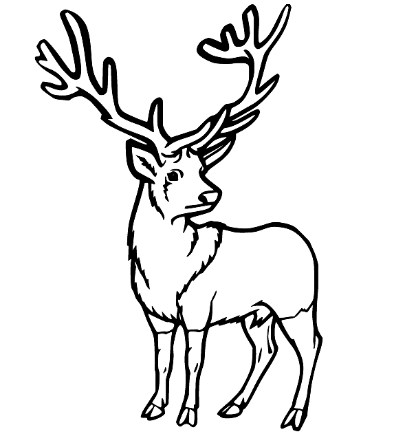 Deer coloring pages printable for free download