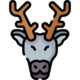 Caribou