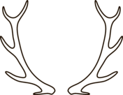 Caribou deer coloring page free printable coloring pages