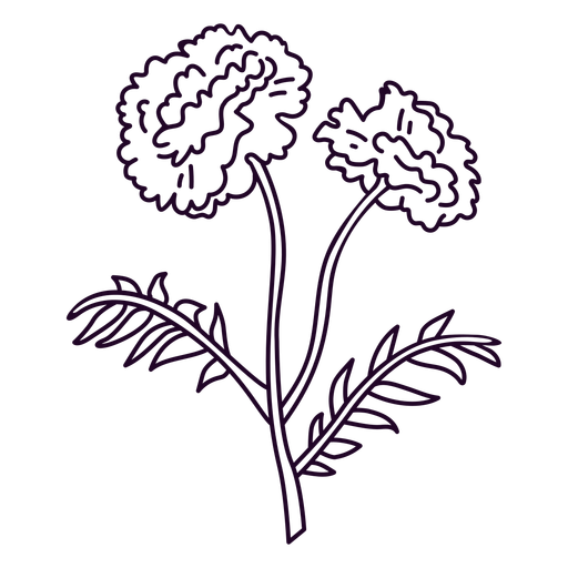 Carnation flowers simple design stroke png svg design for t