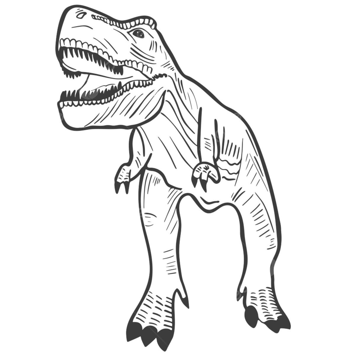 Dinosaurs cartoon outline art png transparent images free download vector files