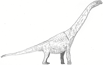 Stock dinosaurs saurischian dinosaurs useful notes