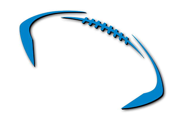 Carolina panthers football shirt sticker by joe hamilton