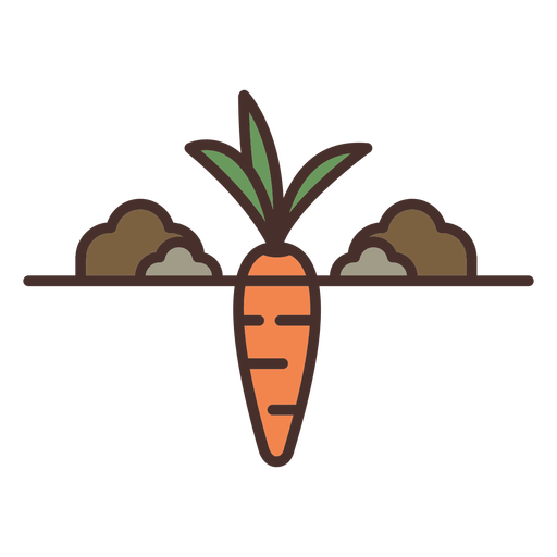 Farm carrot illustration png svg design for t