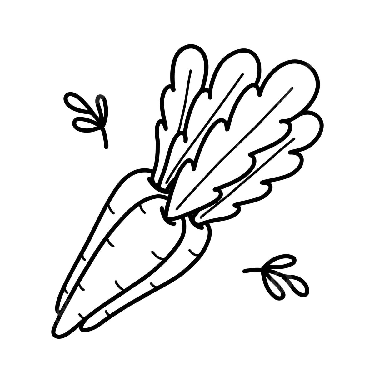 Cute carrots doodle easter illustration for children vegetable elements leaf vector car drawing leaf drawing rat drawing png and vector with transparent background for free download