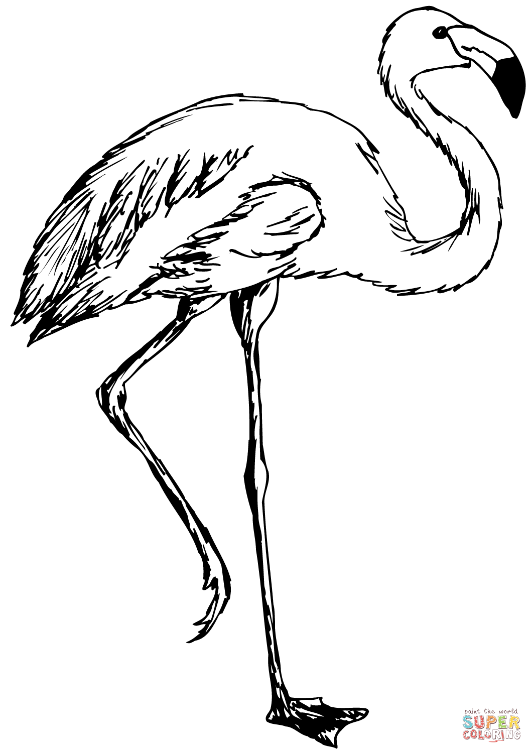 Dibujo de flamenco para colorear dibujos para colorear imprimir gratis dibujos para colorear pãginas para colorear para imprimir gratis flamenco dibujo