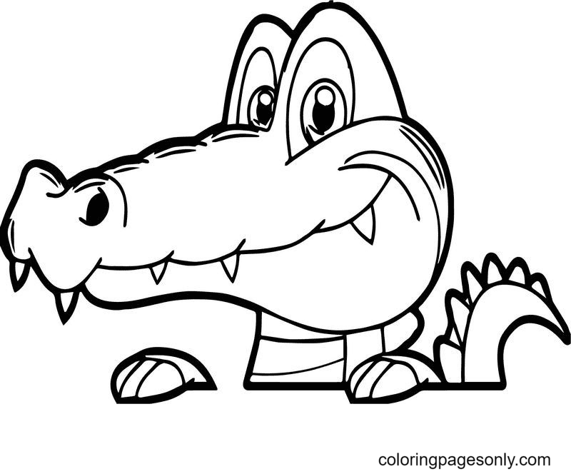 Alligator coloring pages