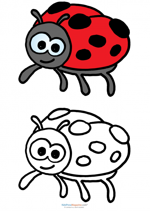 Match up coloring pages â lady bug