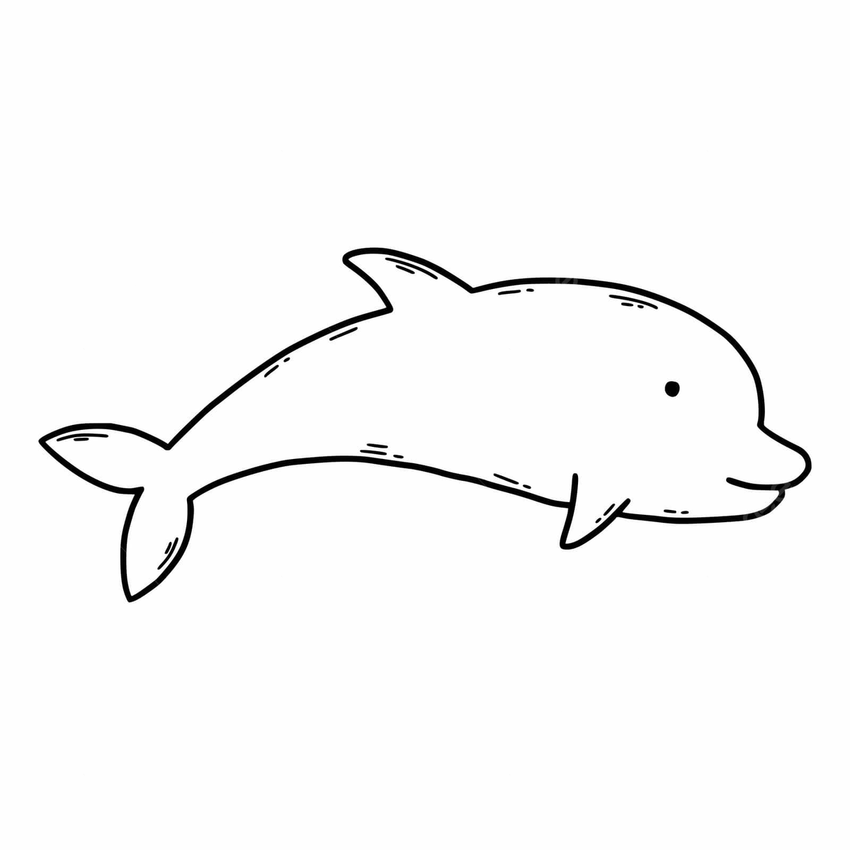 Hand drawn dolphin vector art png images free download on