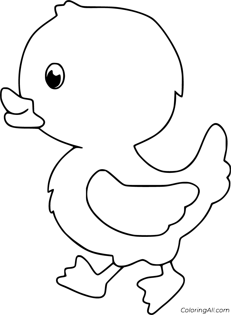 Duckling coloring pages in bird coloring pages coloring pages kid coloring page