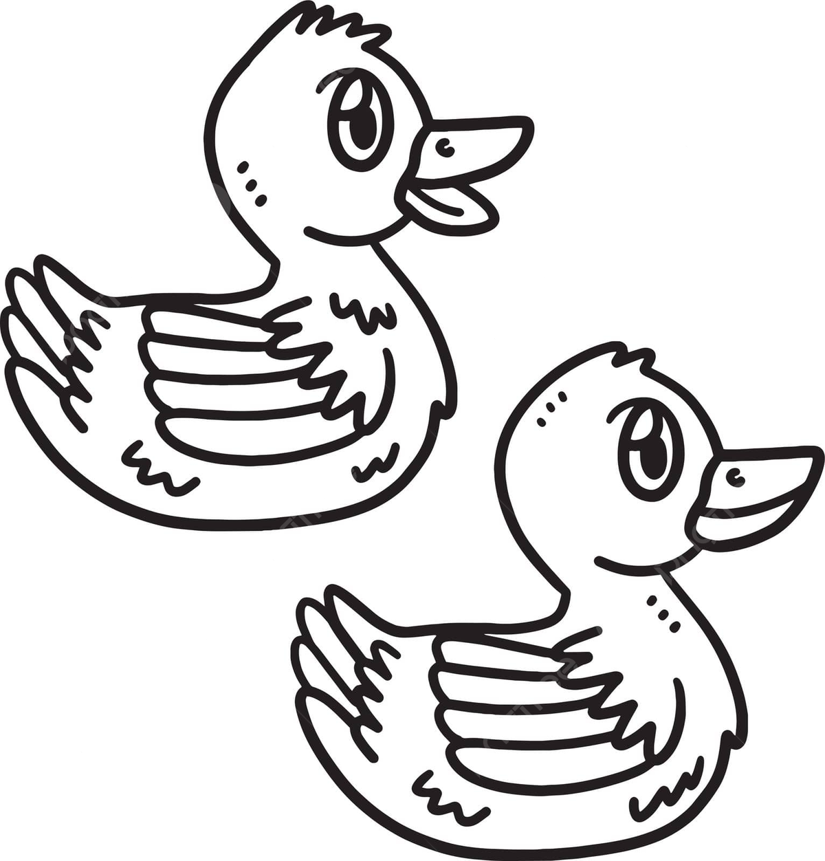 Baby duck isolated coloring page for kids jungle ducklings colouring book vector duck drawing book drawing baby drawing png and vector with transparent background for free download