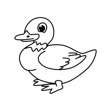 Premium vector cute duck cartoon characters vector illustration for kids coloring book